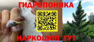 apvp Кингисепп
