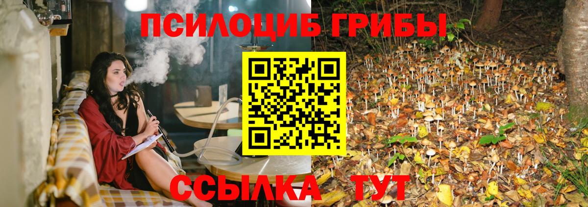 Псилоцибиновые грибы Magic Shrooms Курган