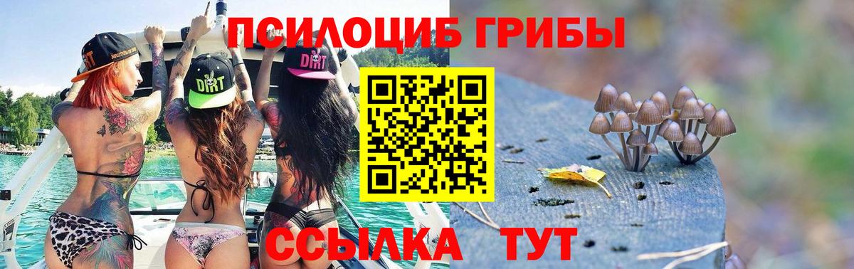 Курган  Галлюциногенные грибы Cubensis  Вход с VPN 